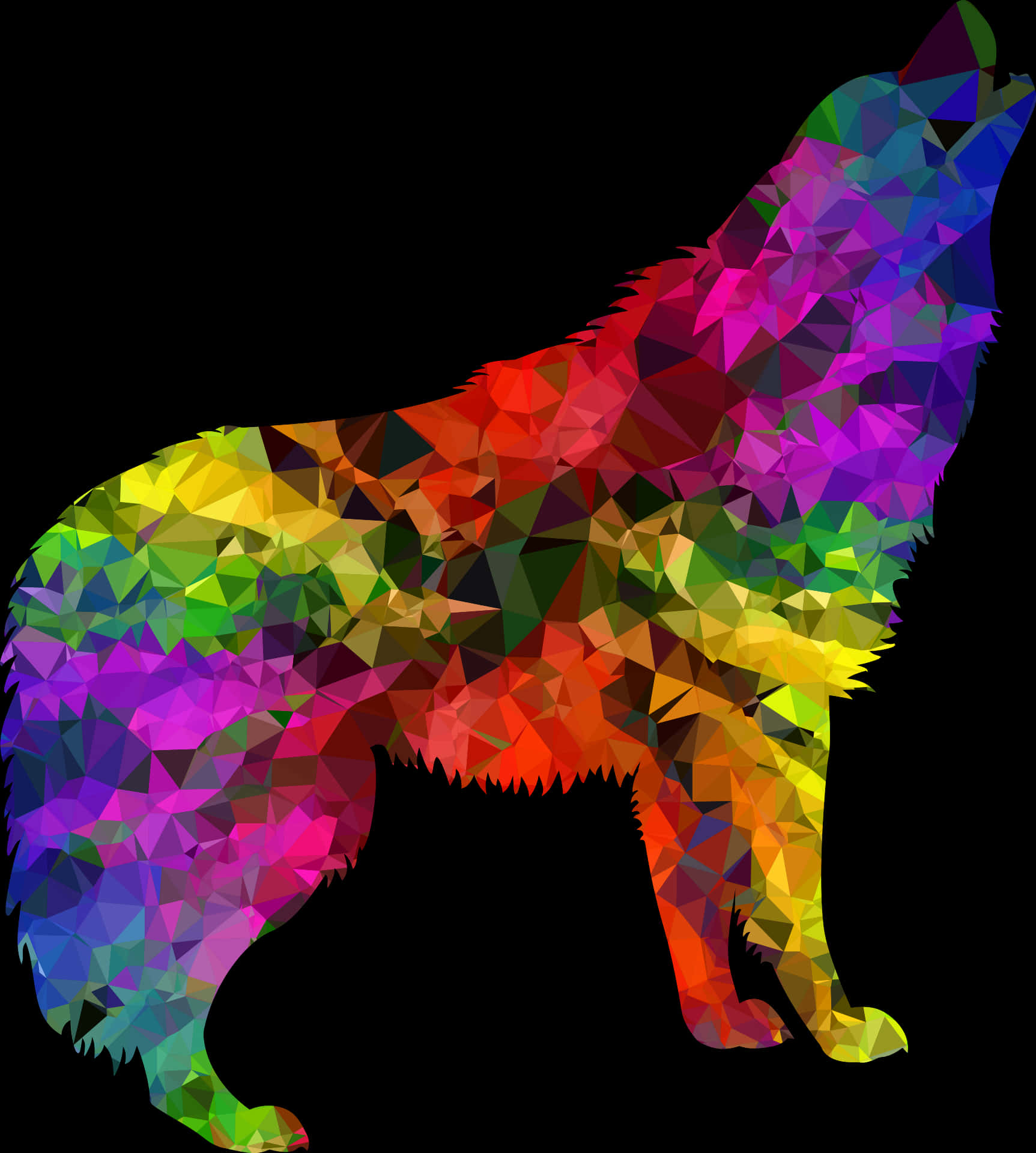 Colorful Geometric Wolf Art PNG Image