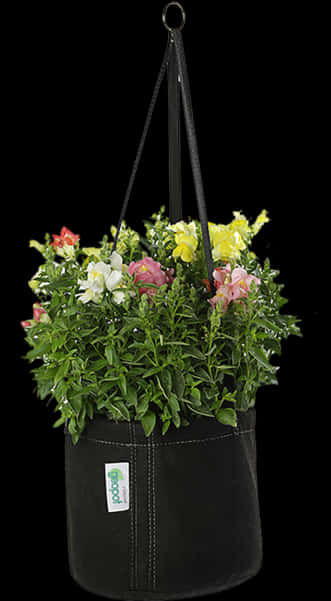 Colorful Hanging Flower Basket PNG Image