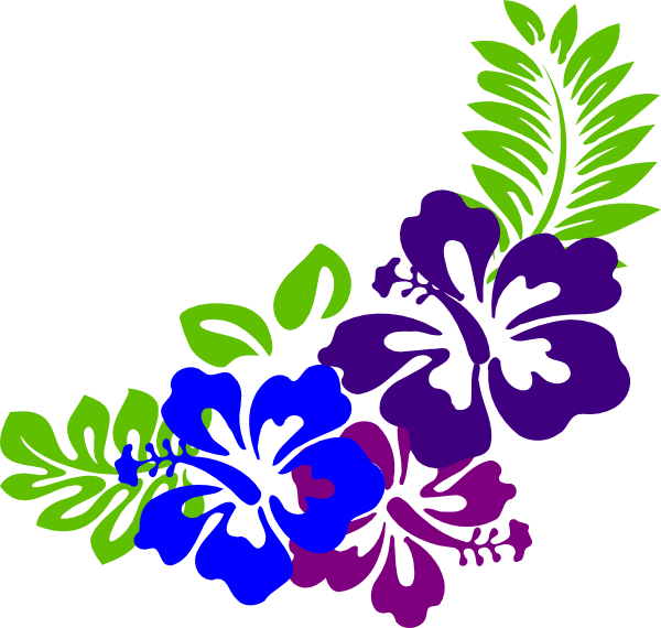 Colorful Hawaiian Flower Graphic PNG Image