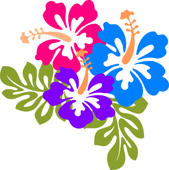 Colorful Hawaiian Flowers Illustration PNG Image