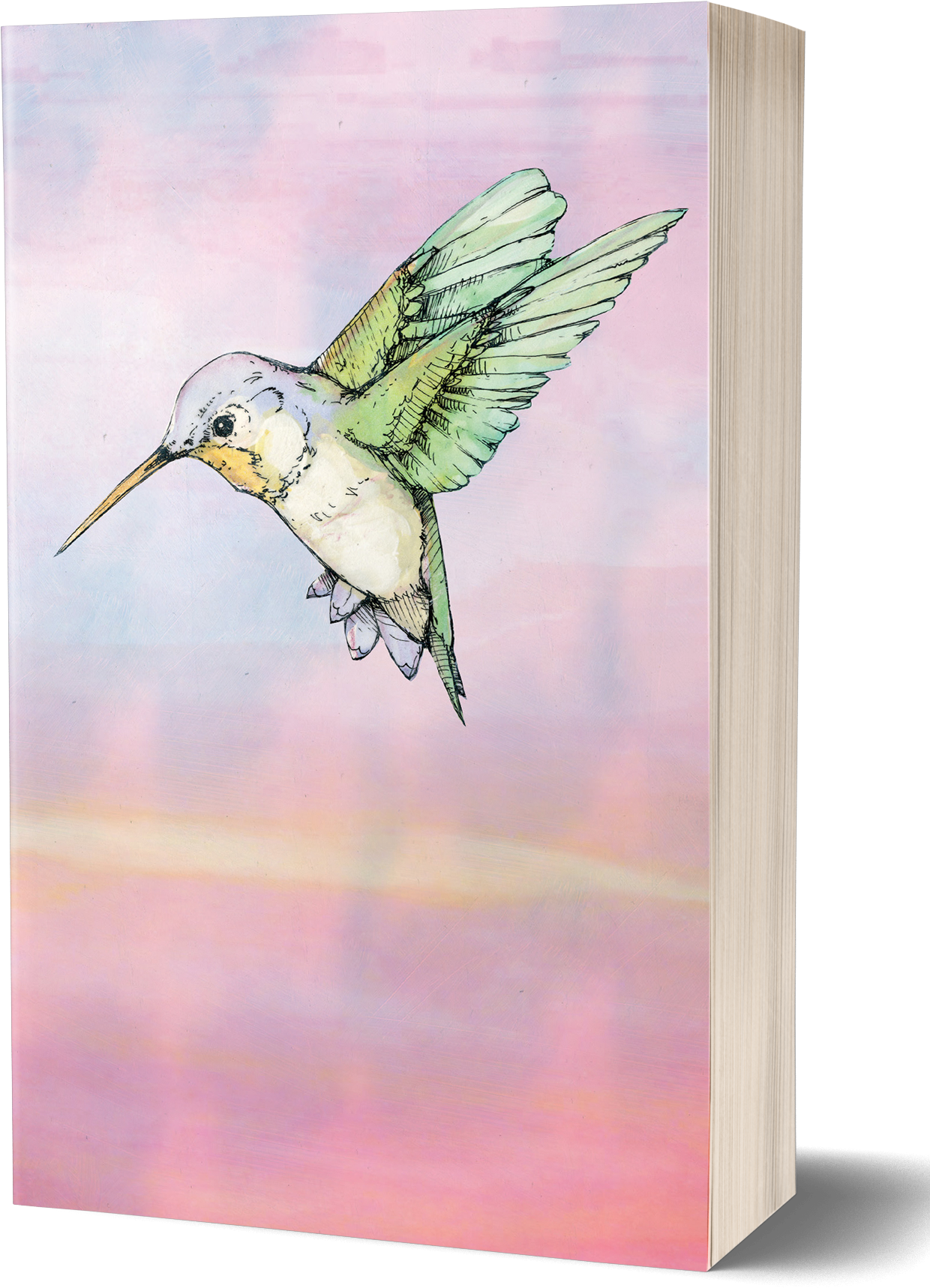 Colorful Hummingbird Illustration PNG Image