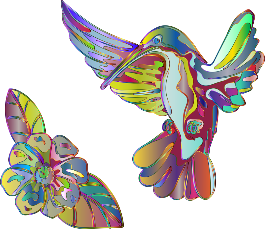 Colorful Hummingbirdand Flower Art PNG Image