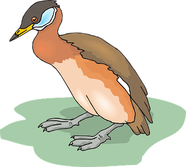 Colorful Illustrated Bird PNG Image