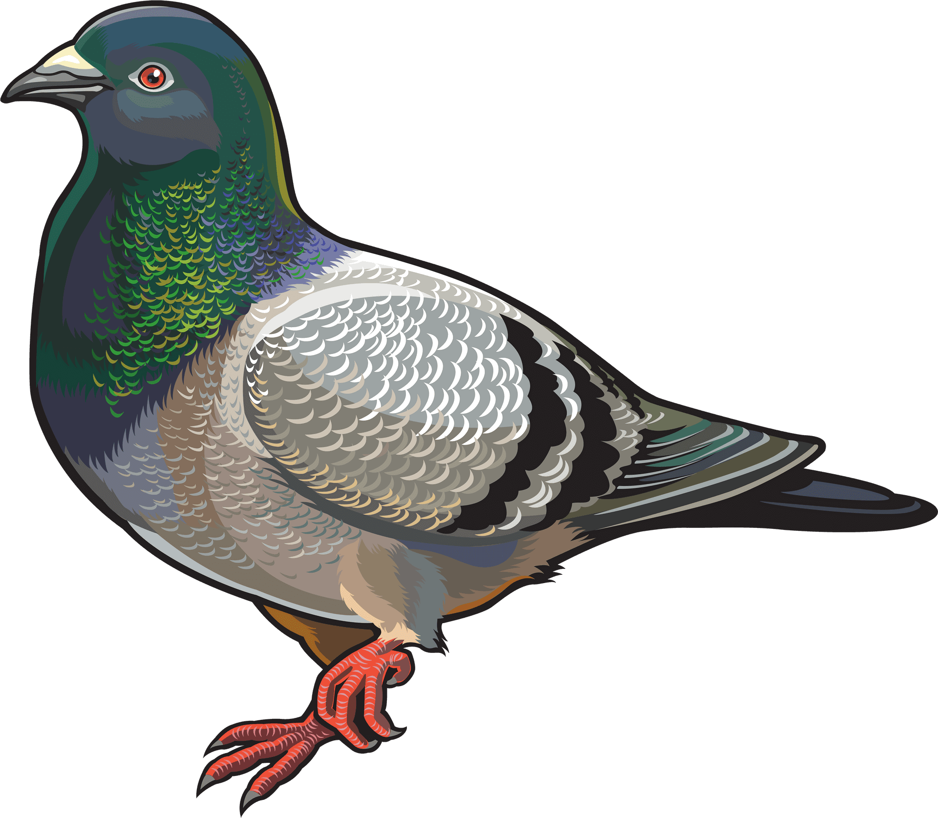 Colorful Illustrated Pigeon PNG Image