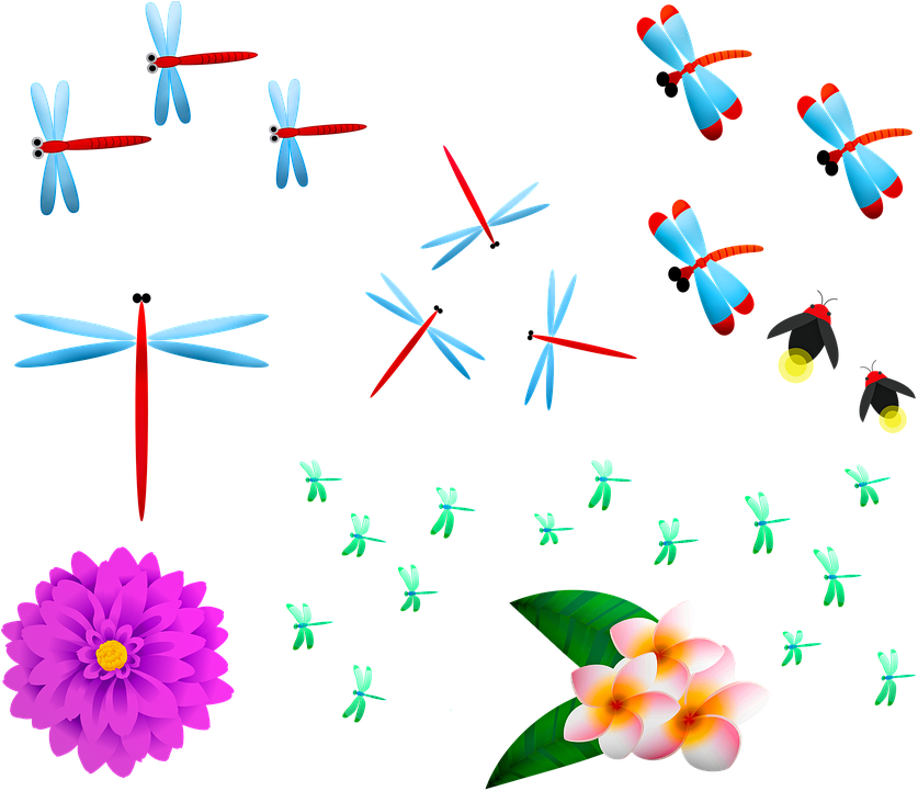 Colorful Insectsand Flowers Illustration PNG Image