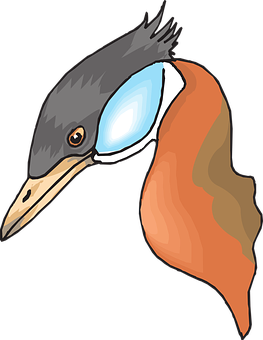 Colorful Kingfisher Illustration PNG Image