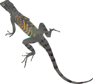 Colorful Lizard Illustration PNG Image