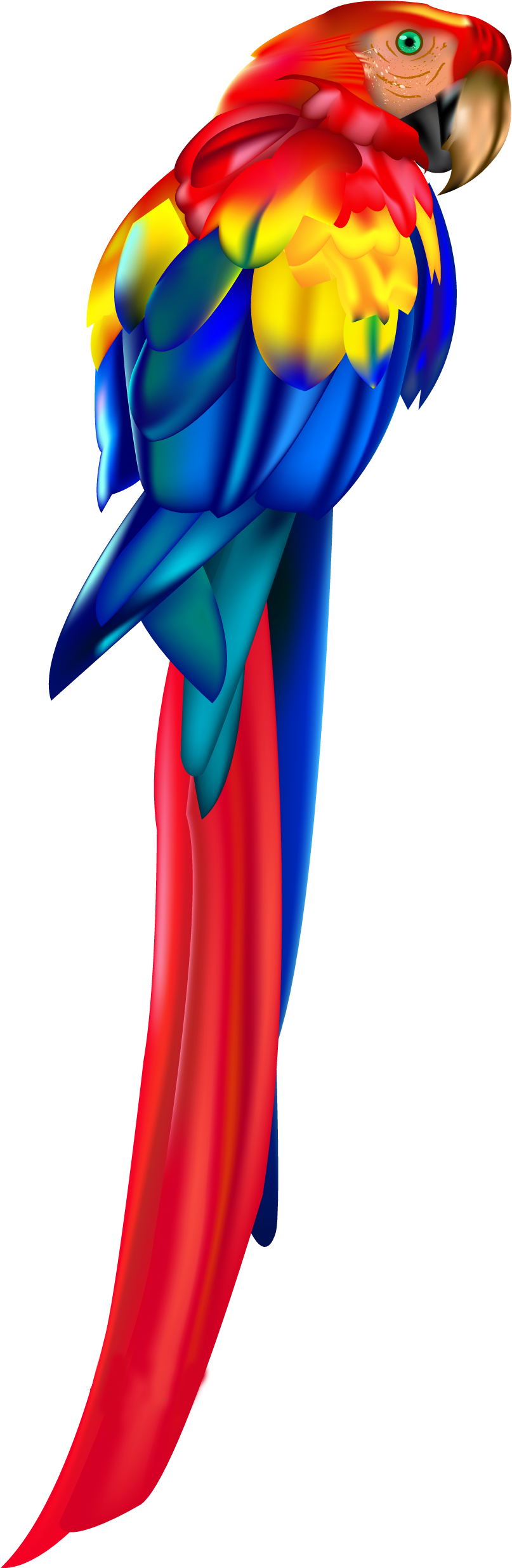 Colorful Macaw Parrot Profile PNG Image