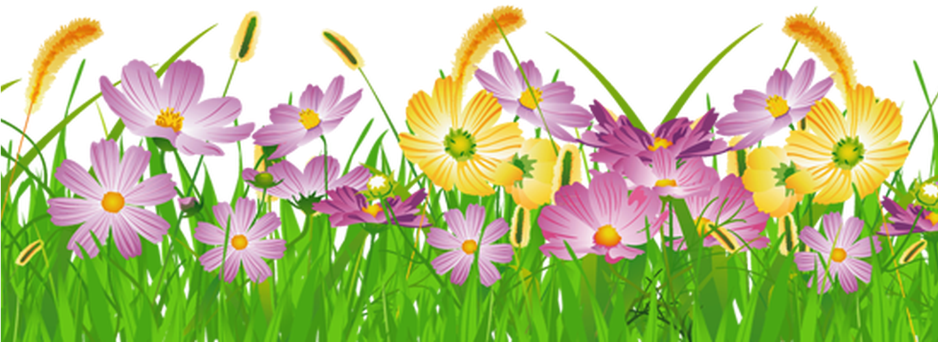 Colorful Meadow Flowers PNG Image