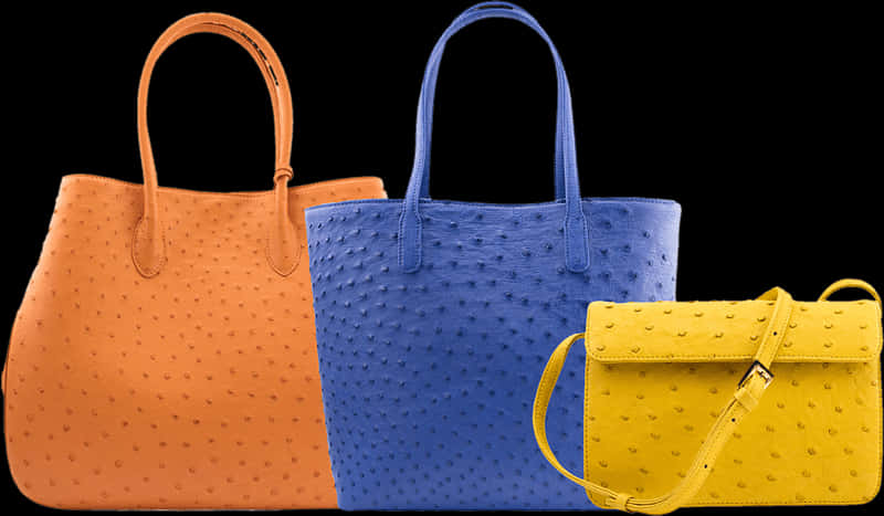 Colorful Ostrich Leather Tote Bags PNG Image