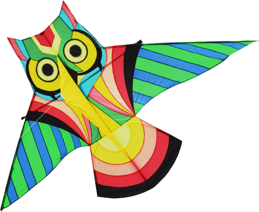 Colorful Owl Kite Flying Toy PNG Image