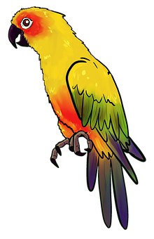 Colorful Parrot Illustration PNG Image