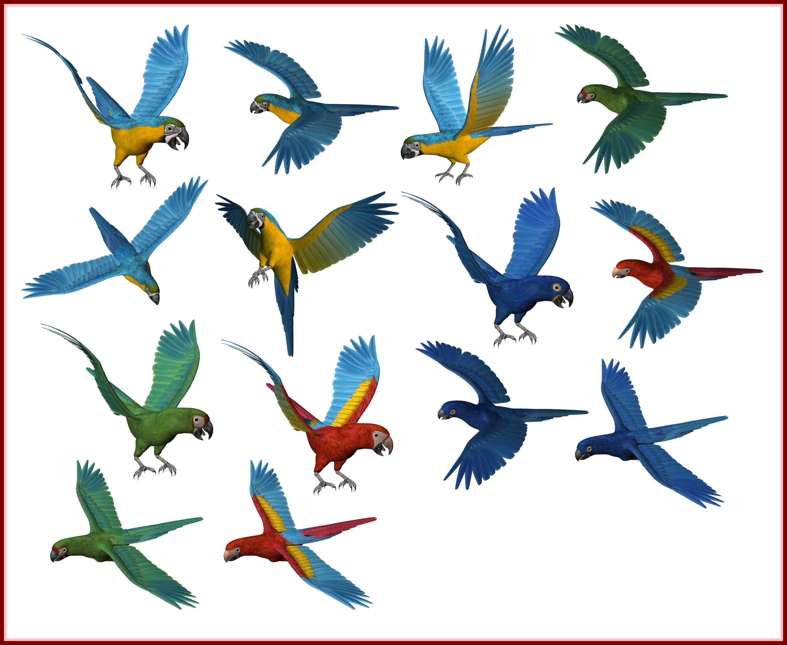 Colorful_ Parrots_in_ Flight_ Collage PNG Image