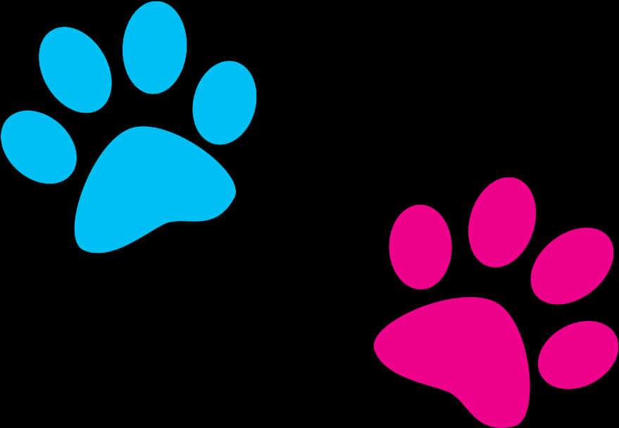 Colorful Paw Prints Illustration PNG Image