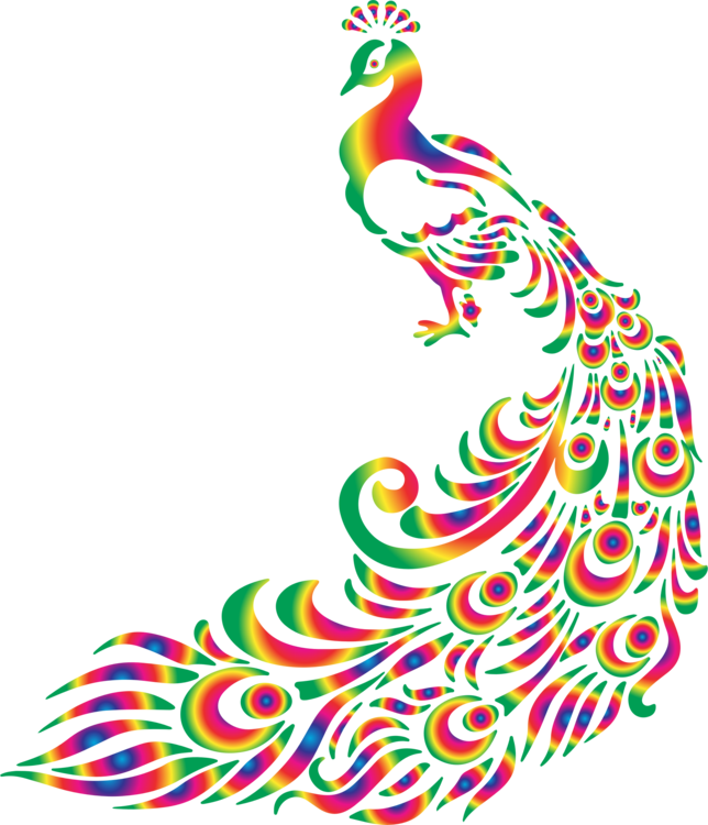 Colorful Peacock Art Illustration PNG Image