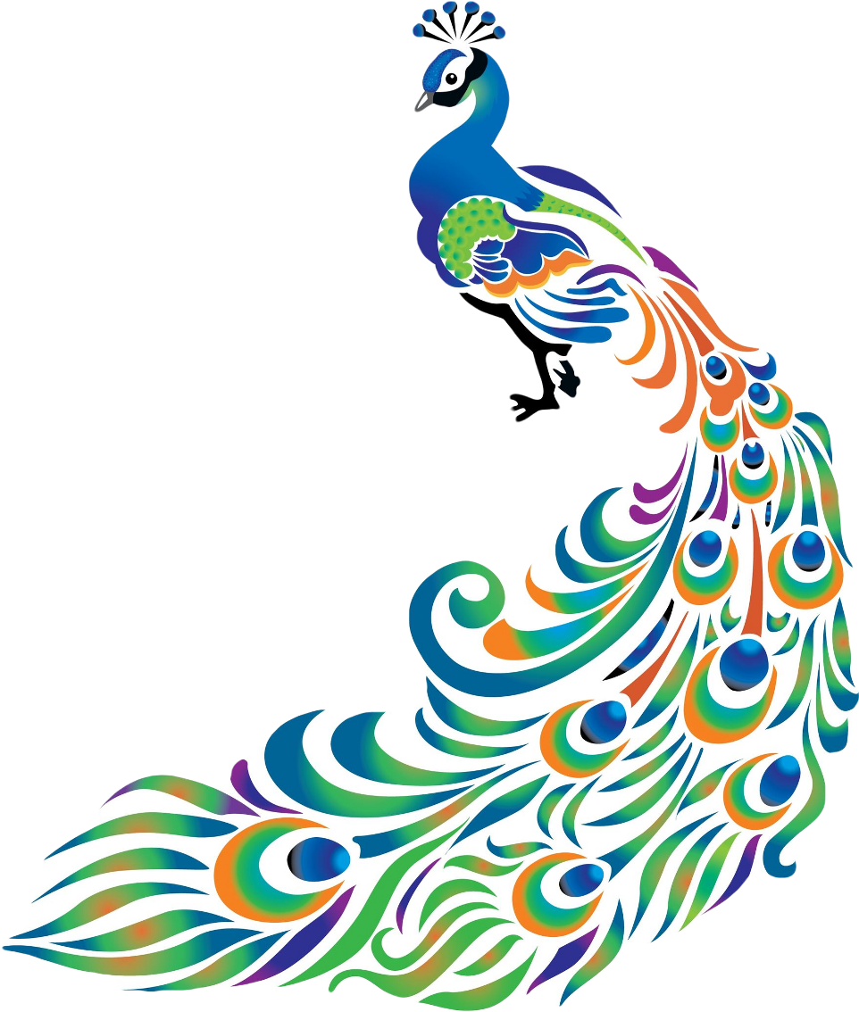 Colorful Peacock Artwork PNG Image