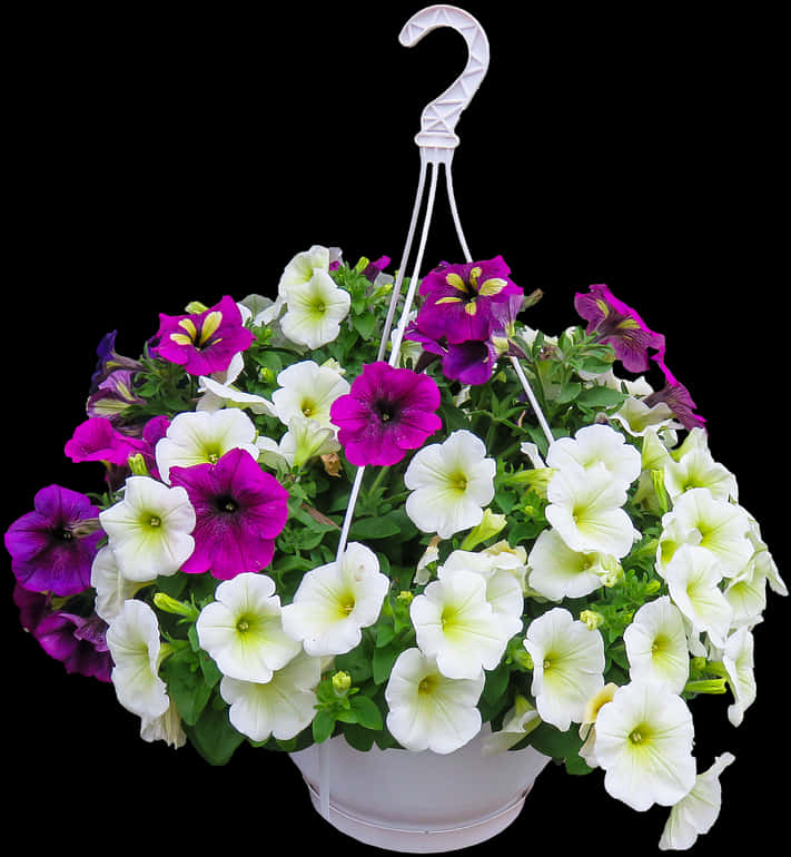 Colorful Petunia Hanging Basket Floral Display.jpg PNG Image