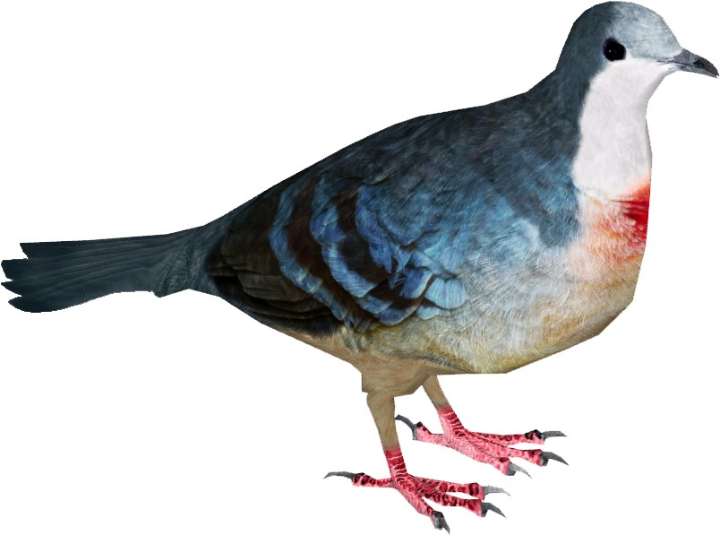 Colorful Pigeon Profile PNG Image