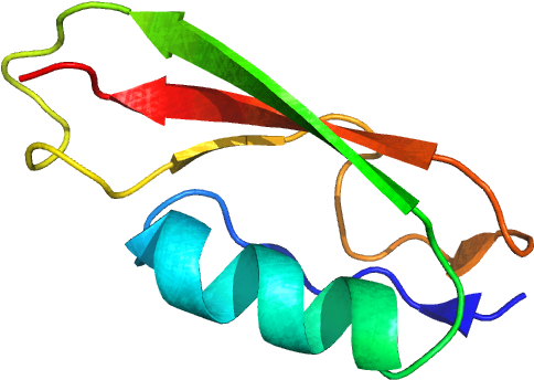 Colorful Protein Structure3 D Model PNG Image