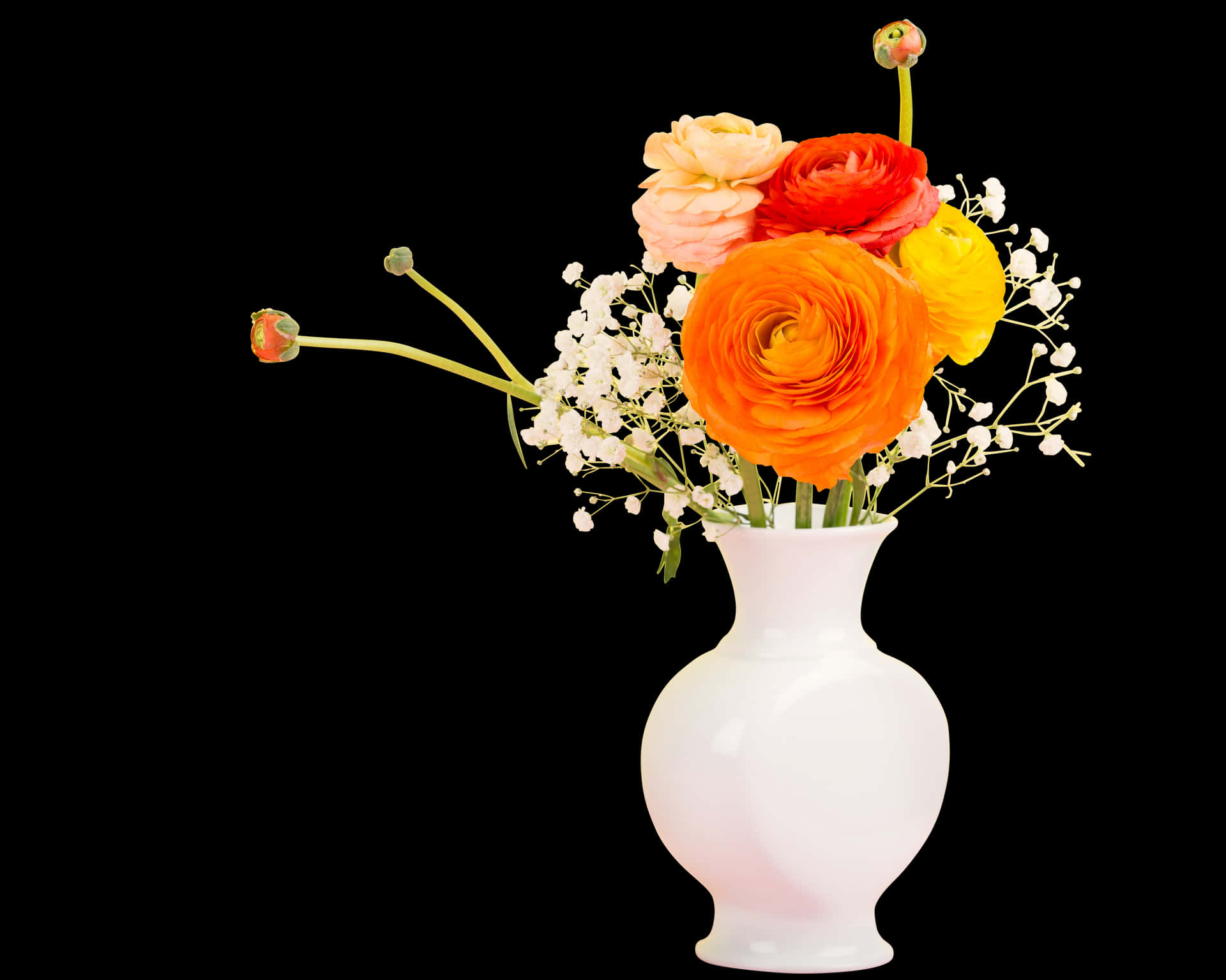 Colorful_ Ranunculus_ Bouquet_in_ White_ Vase PNG Image