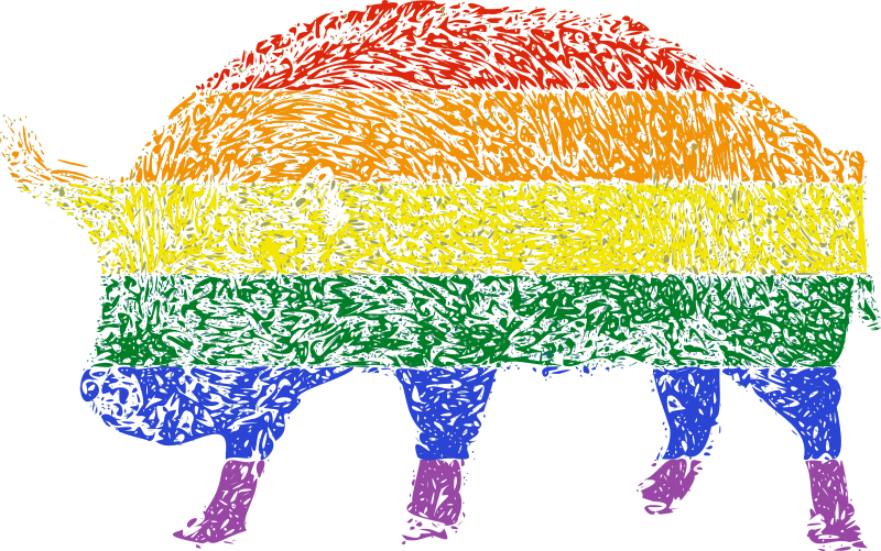 Colorful Rhino Silhouette Rainbow Background PNG Image