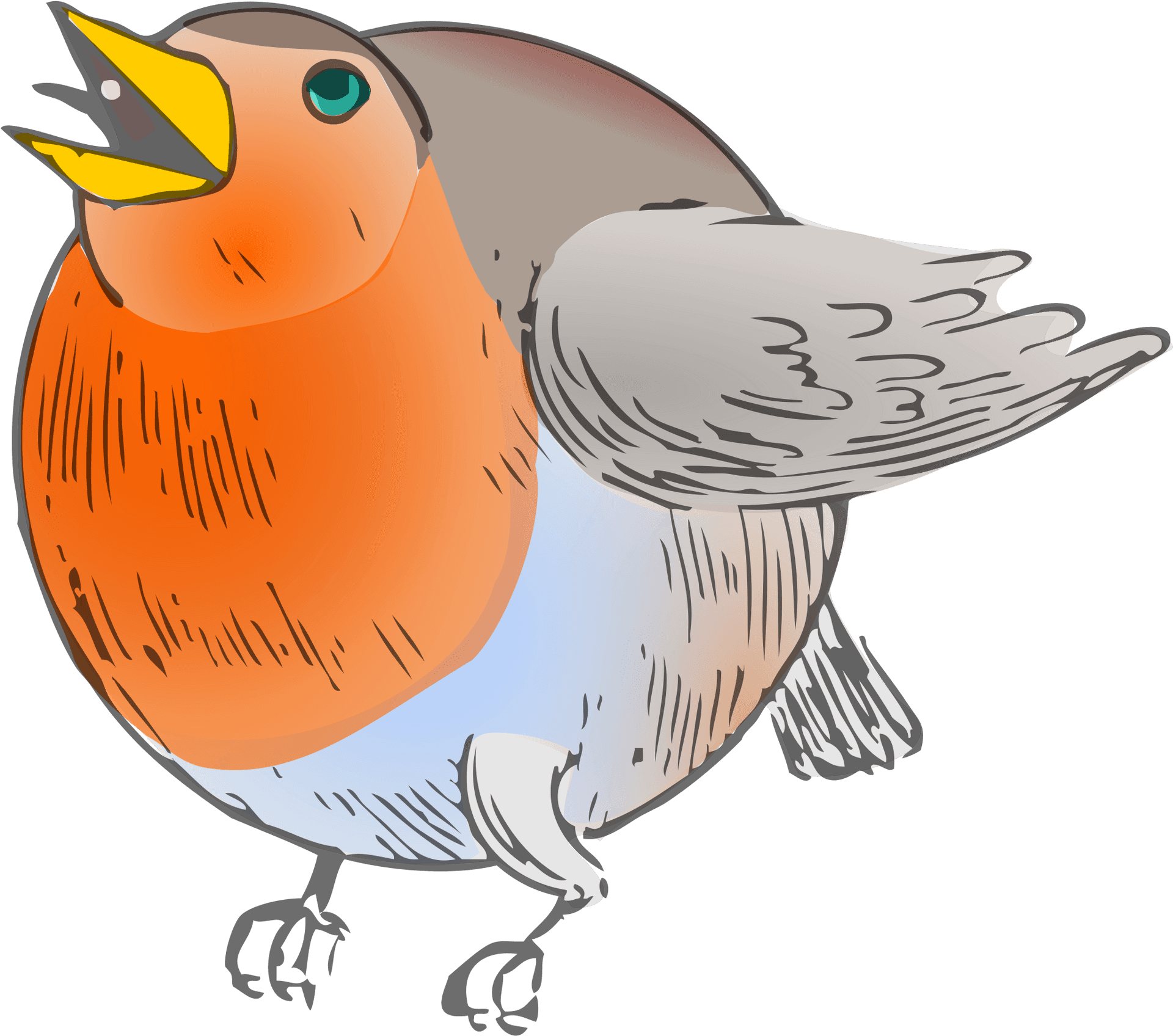 Colorful Robin Illustration.png PNG Image