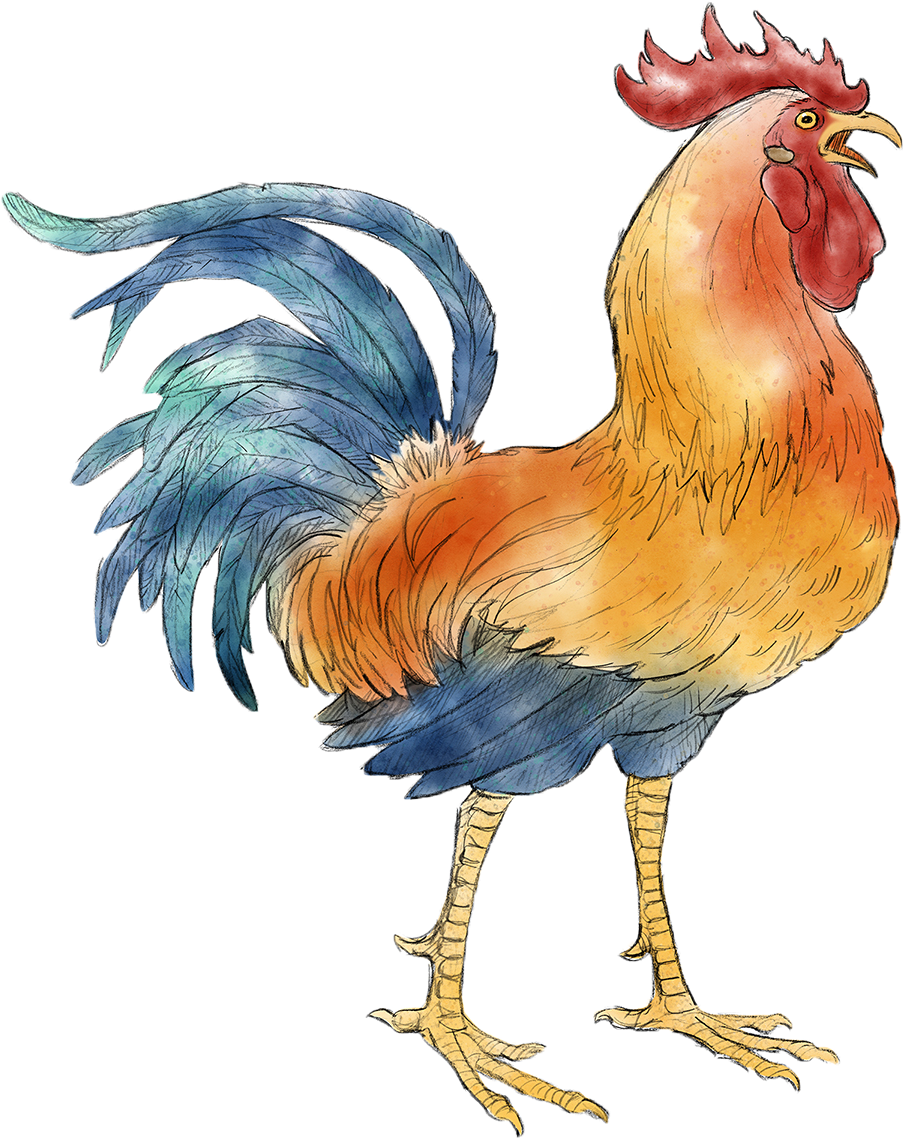 Colorful Rooster Illustration PNG Image