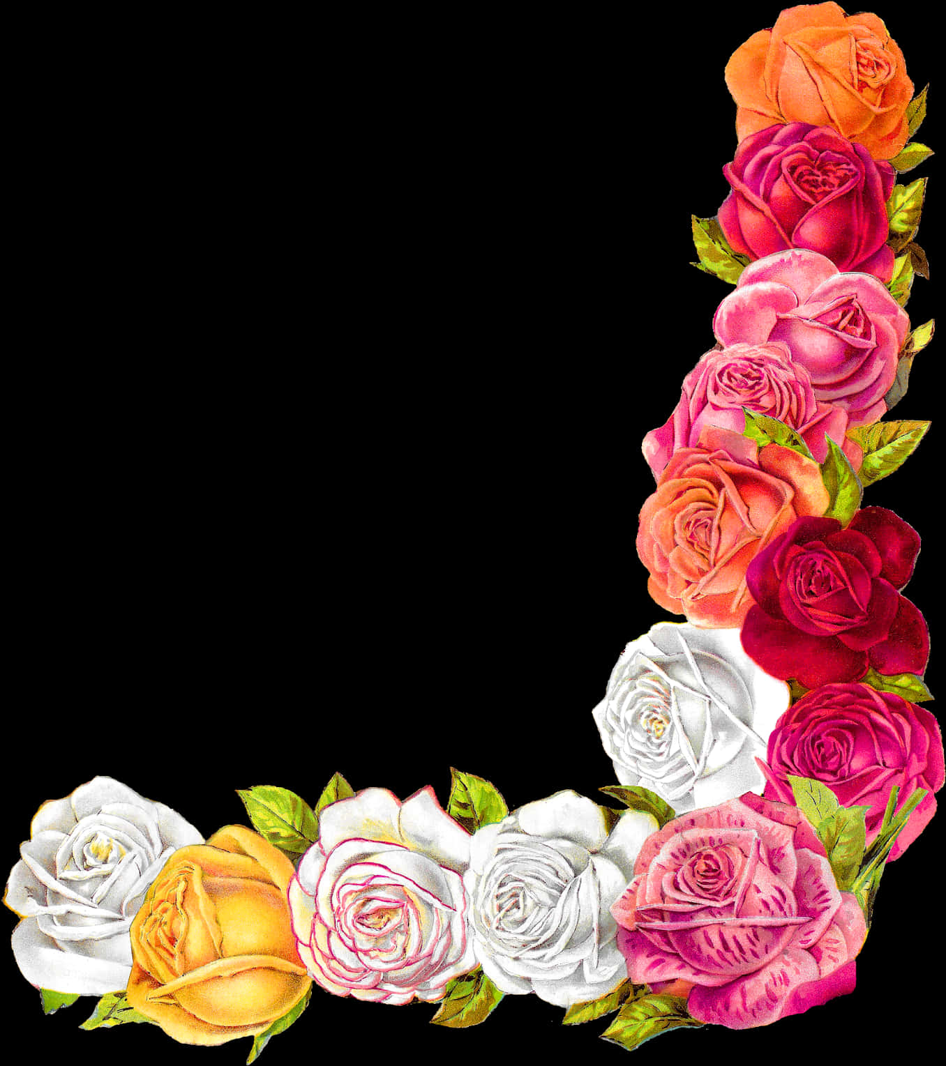 Colorful Rose Border Design PNG Image