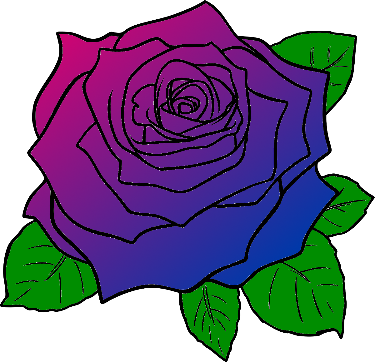 Colorful Rose Drawing.png PNG Image