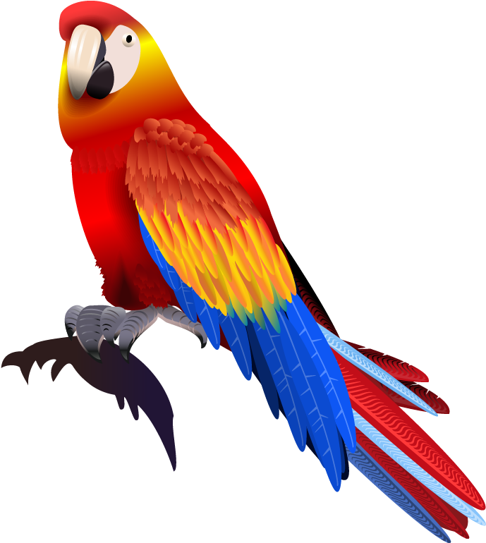 Colorful Scarlet Macaw Illustration PNG Image