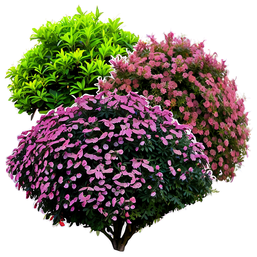 Colorful Shrubs Png 44 PNG Image