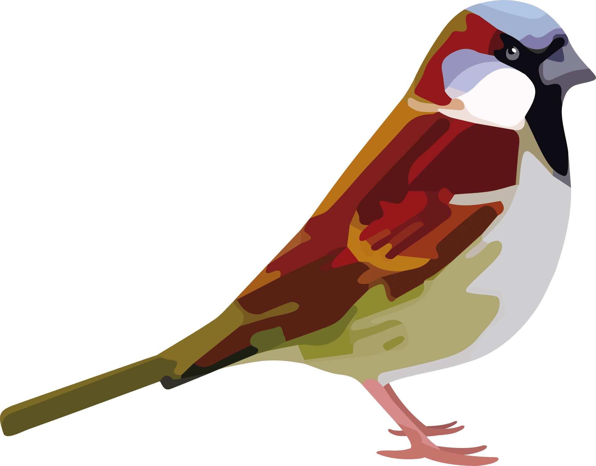 Colorful Sparrow Illustration PNG Image