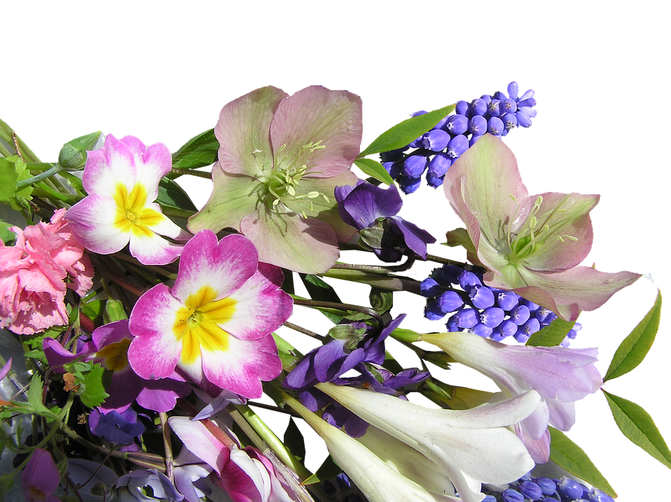 Colorful Spring Flowers Arrangement PNG Image