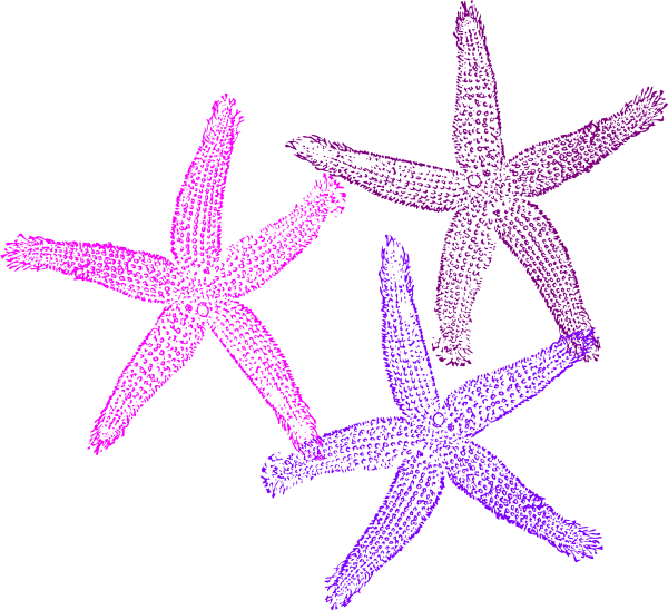 Colorful Starfish Clipart PNG Image