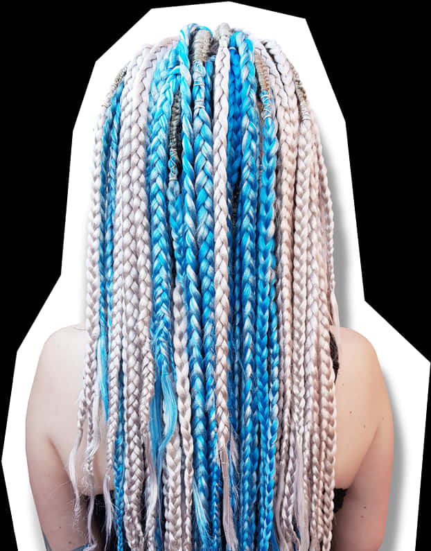 Colorful Synthetic Dreads_ Back View PNG Image