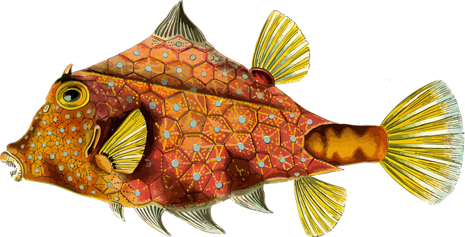 Colorful Thornback Cowfish Illustration PNG Image