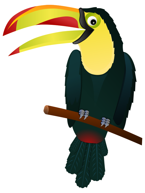 Colorful Toucan Illustration PNG Image