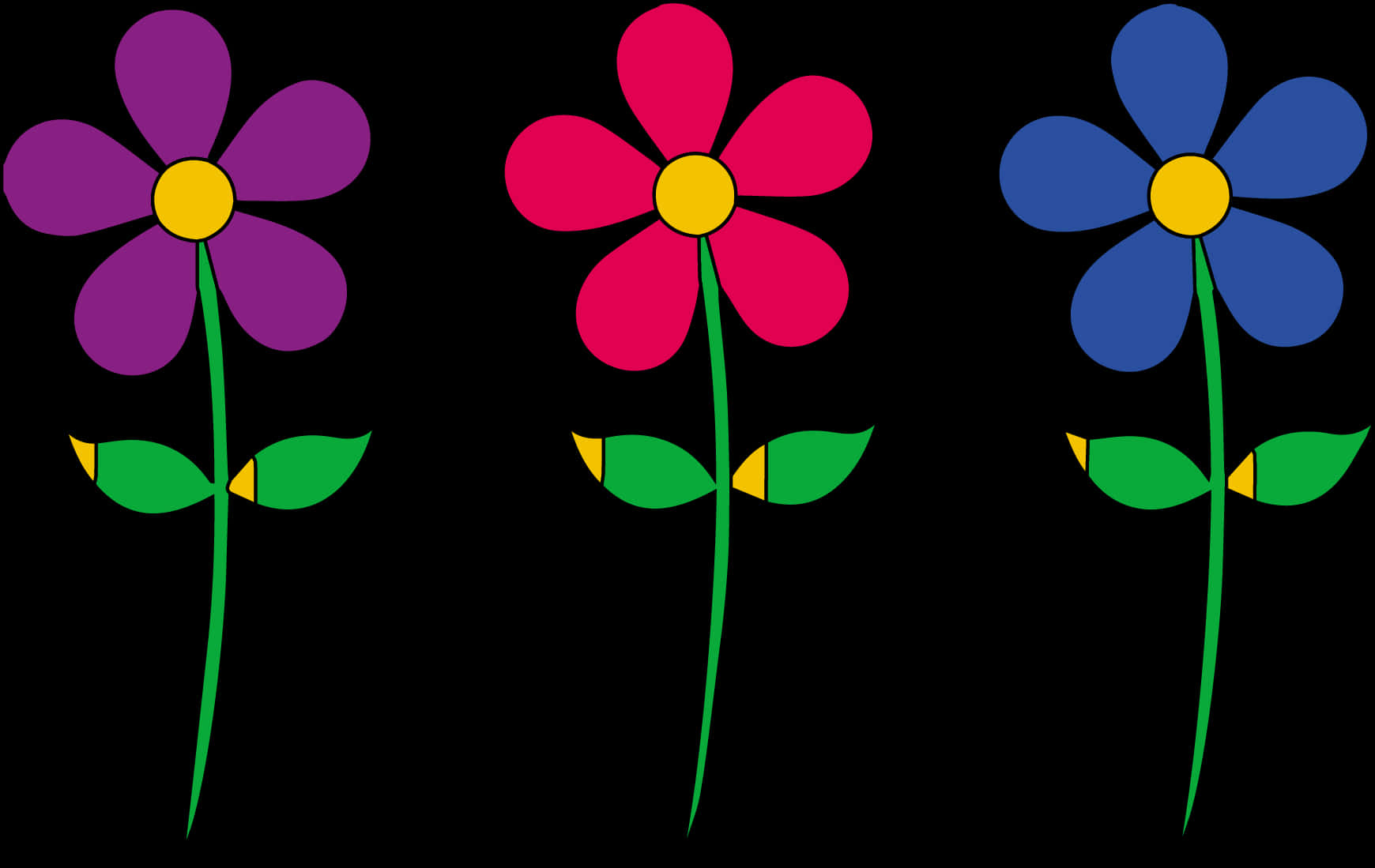 Colorful Vector Daisies PNG Image