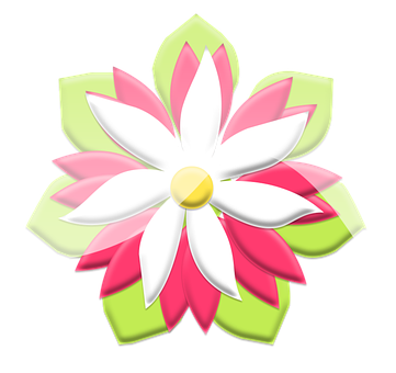 Colorful Vector Flower Illustration PNG Image