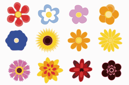 Colorful Vector Flowers Illustration PNG Image