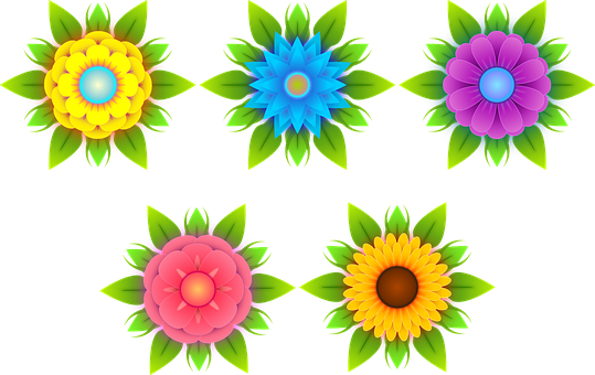 Colorful Vector Flowerson Black Background PNG Image