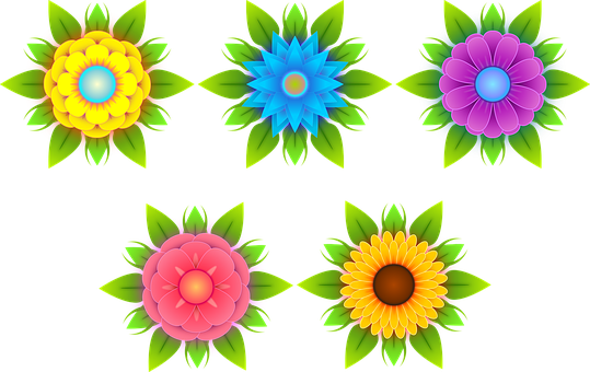 Colorful Vector Flowerson Black Background PNG Image