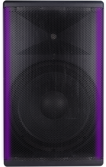 Concert Speaker Closeup.jpg PNG Image