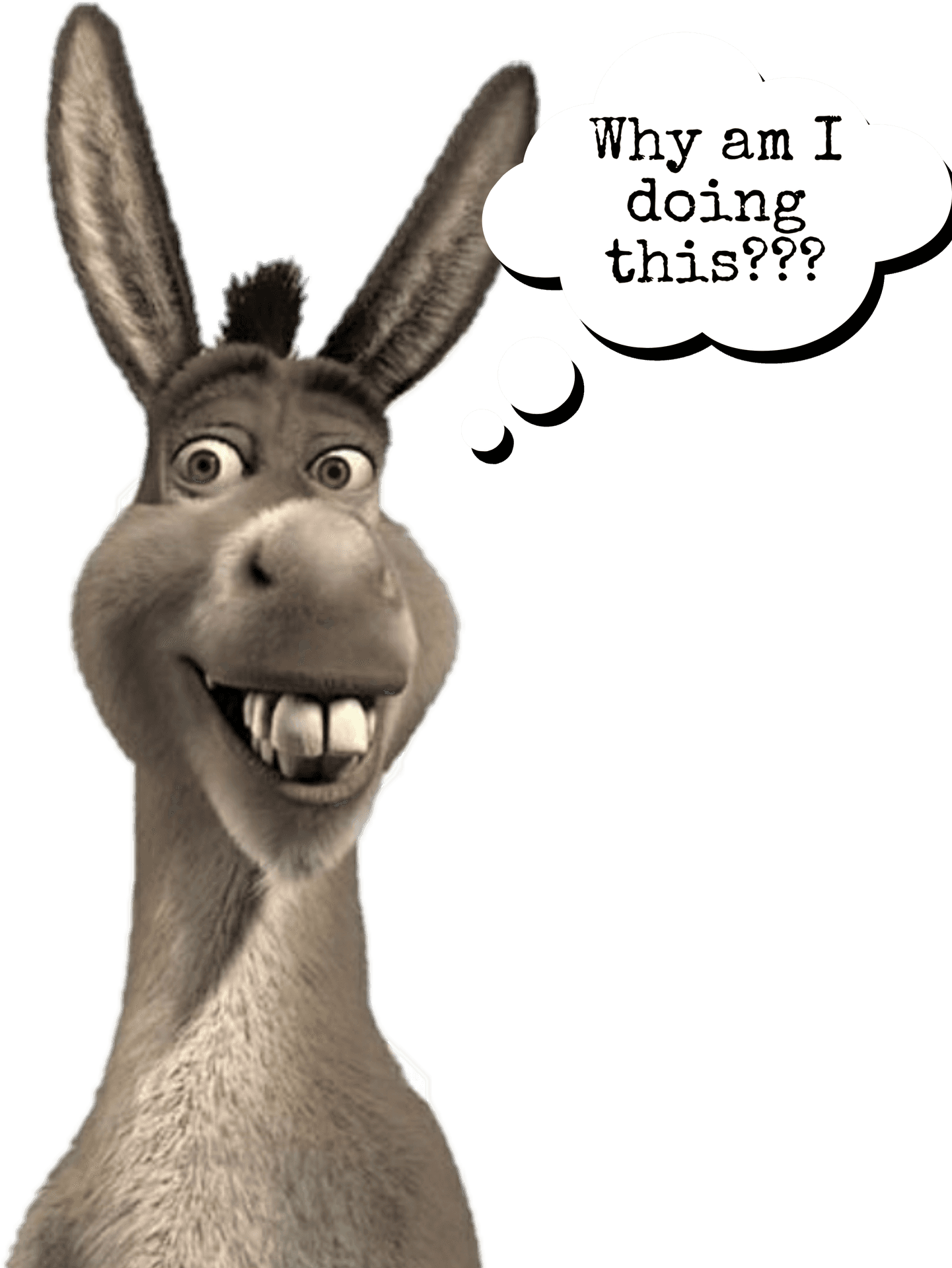 Confused Donkey Cartoon Character PNG Image