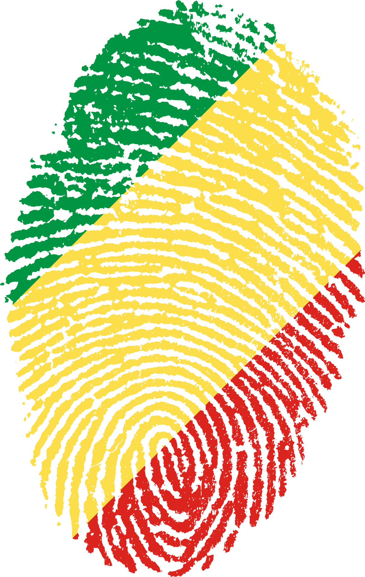 Congo Flag Fingerprint Pattern PNG Image