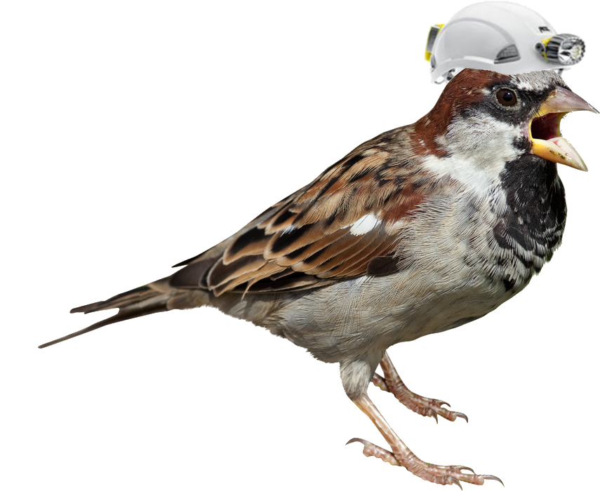 Construction Worker Sparrow.png PNG Image