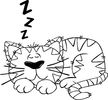 Contented Cat Cartoon PNG Image