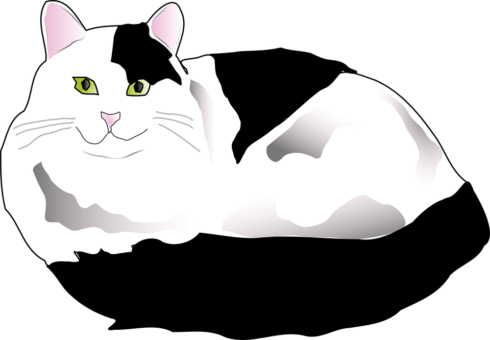 Contented Gray Cat Illustration PNG Image