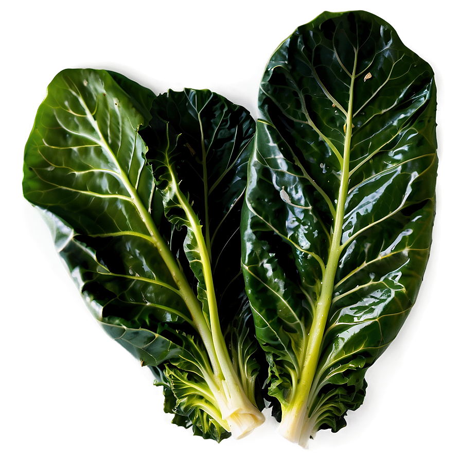 Cooked Collard Greens Png Llf60 PNG Image