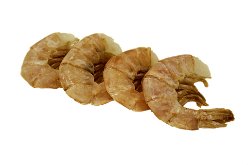 Cooked Shrimp Black Background PNG Image